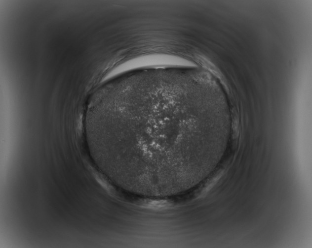 X0000085060401200703051443