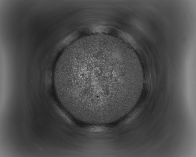 X0000085060402200703051443