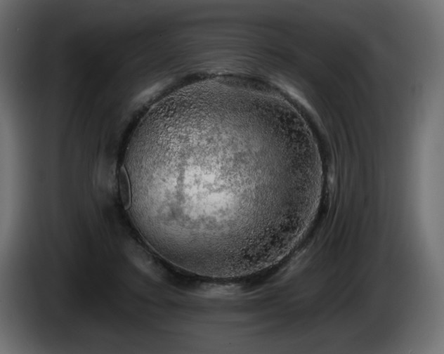 X0000085060403200703051443