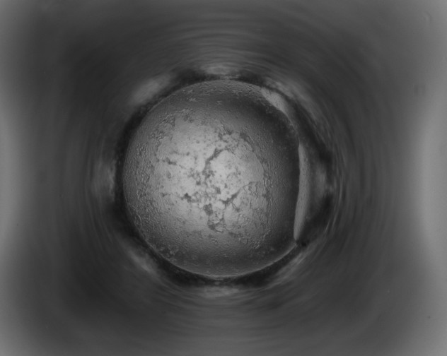 X0000085060404200703051443