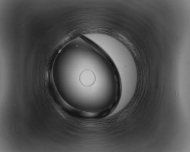 X0000085060405200703051443