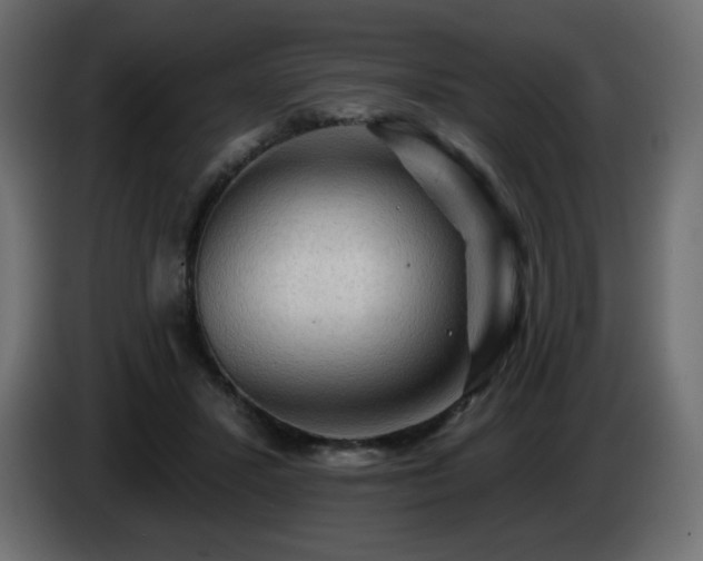 X0000085060407200703051443