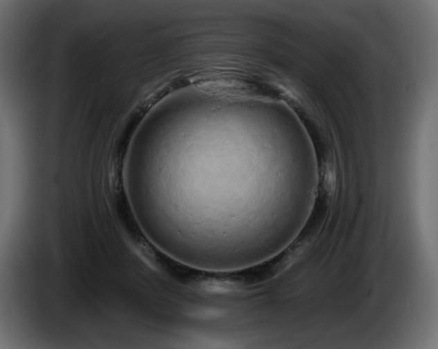 X0000085060408200703051443