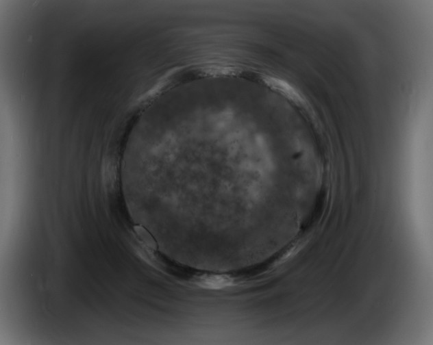 X0000085060409200703051443