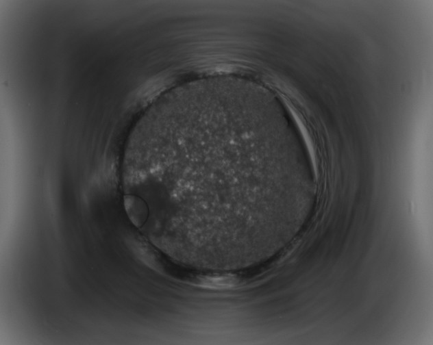 X0000085060410200703051443