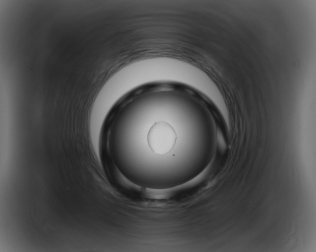 X0000085060412200703051443