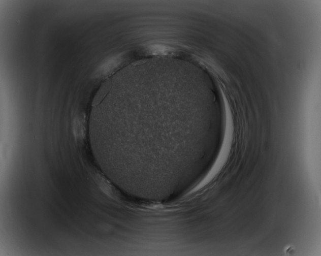 X0000085060413200703051443
