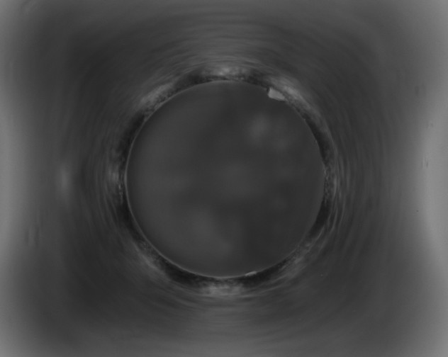 X0000085060415200703051443