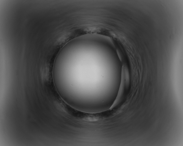 X0000085060416200703051443