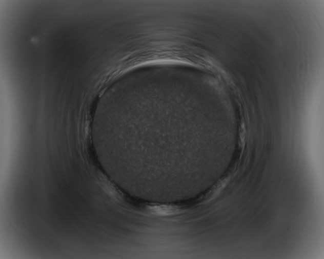 X0000085060417200703051443