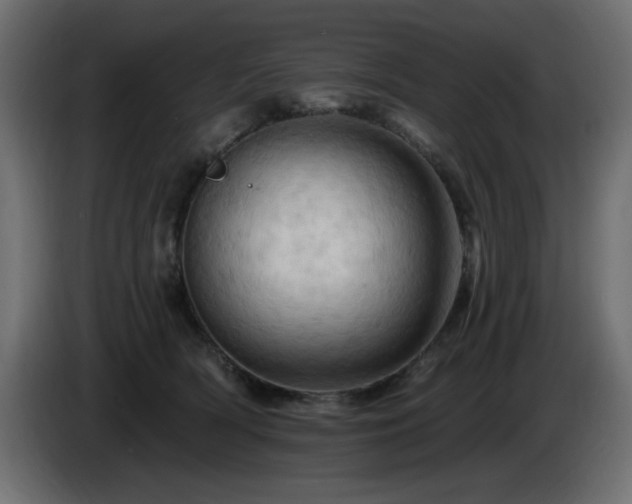X0000085060418200703051443
