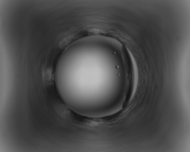 X0000085060420200703051443