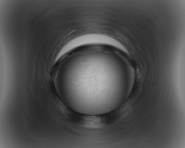 X0000085060421200703051443