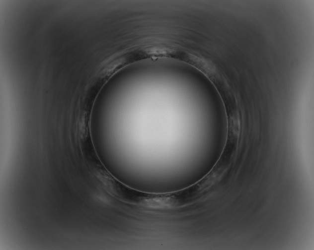 X0000085060422200703051443