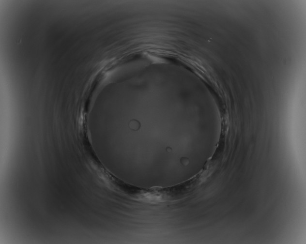 X0000085060423200703051443