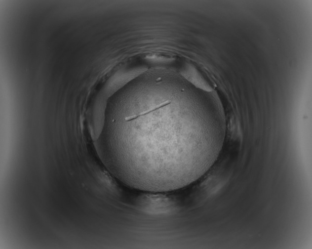 X0000085060424200703051443