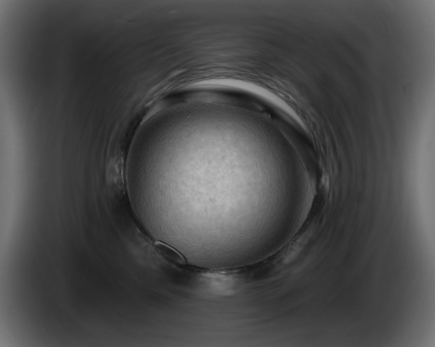 X0000085060425200703051443
