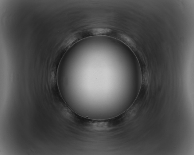 X0000085060426200703051443