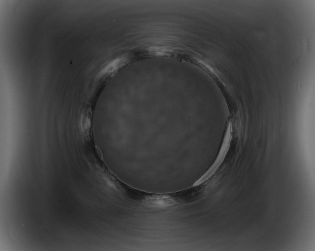 X0000085060427200703051443