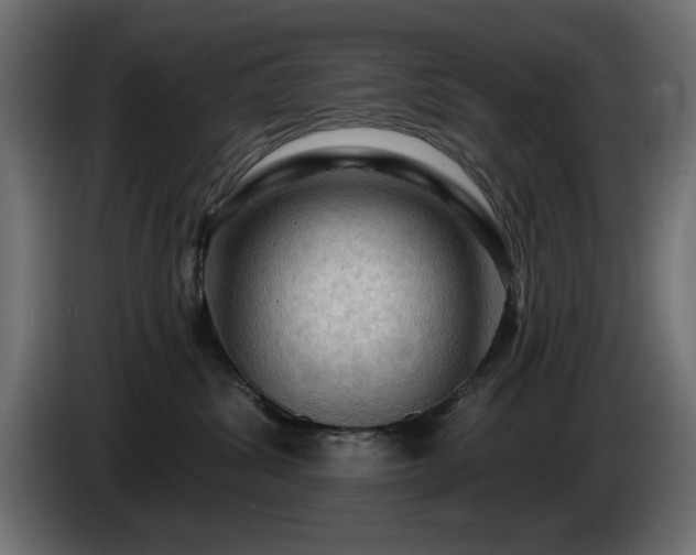 X0000085060428200703051443