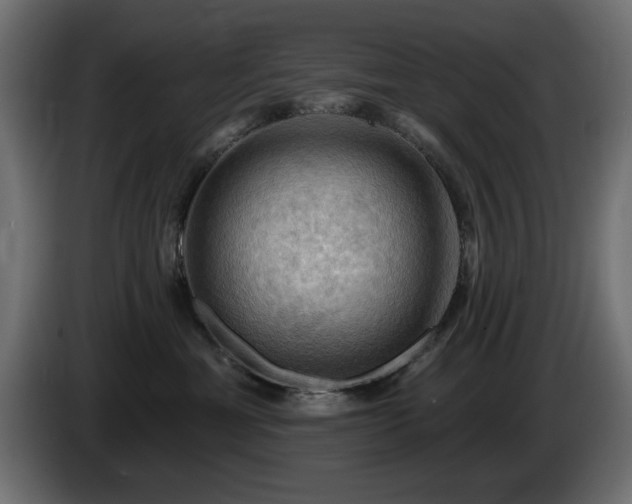 X0000085060429200703051443
