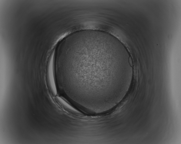 X0000085060434200703051442