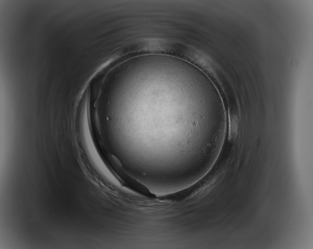 X0000085060435200703051442