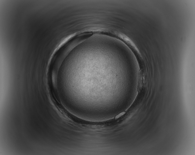 X0000085060436200703051442