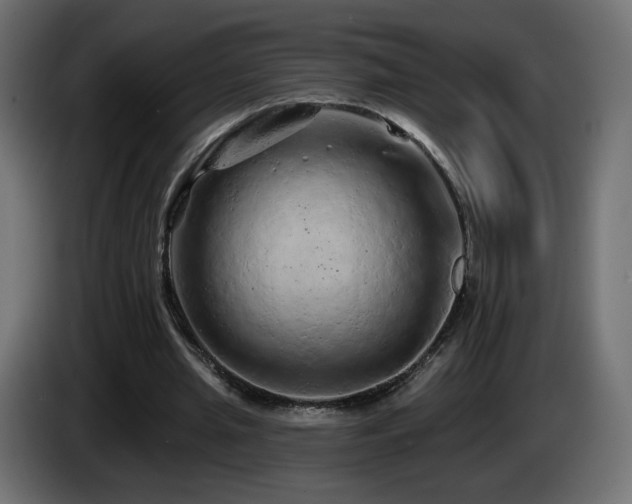 X0000085060437200703051442