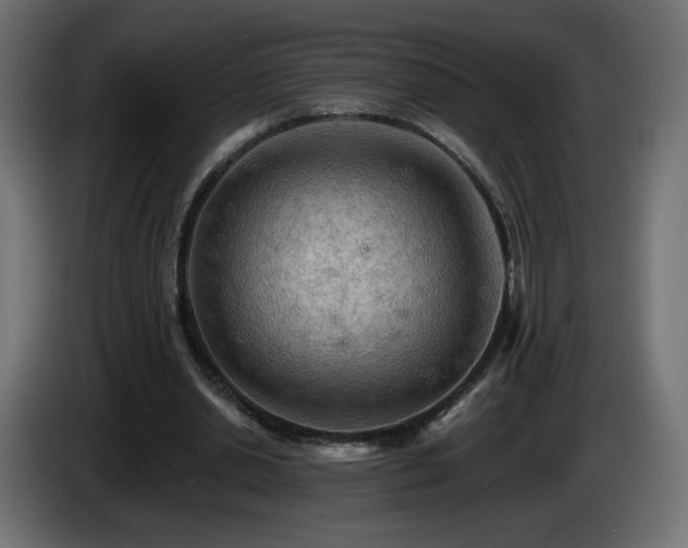 X0000085060438200703051442
