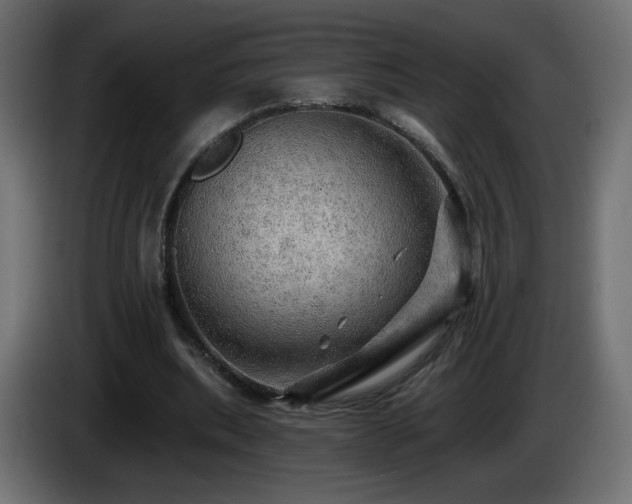X0000085060439200703051442