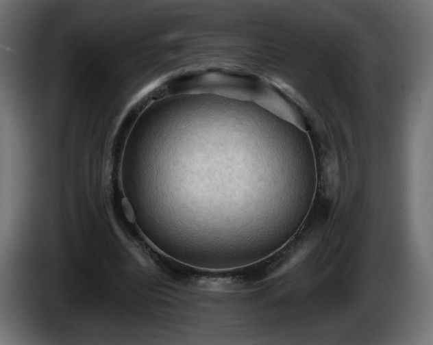 X0000085060440200703051442