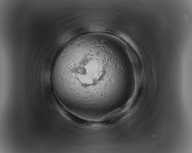 X0000085060441200703051442