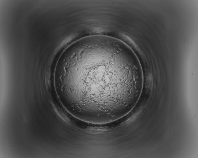 X0000085060443200703051442