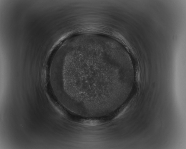 X0000085060444200703051442