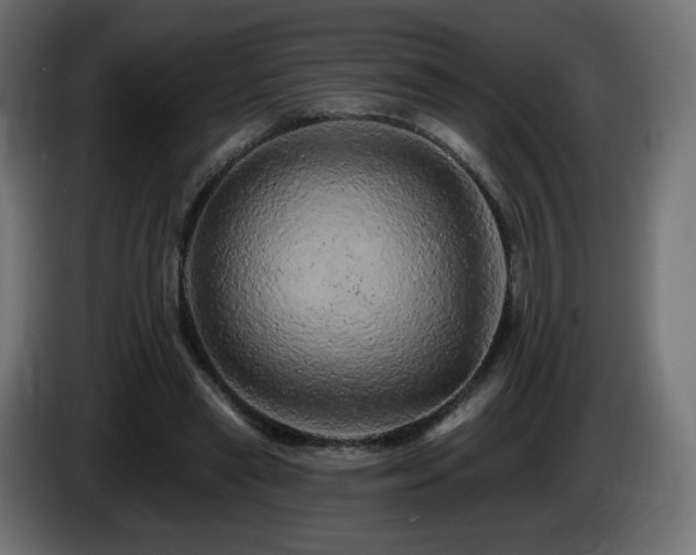 X0000085060445200703051442