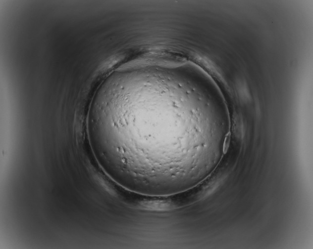 X0000085060449200703051442