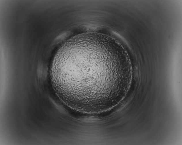 X0000085060451200703051442