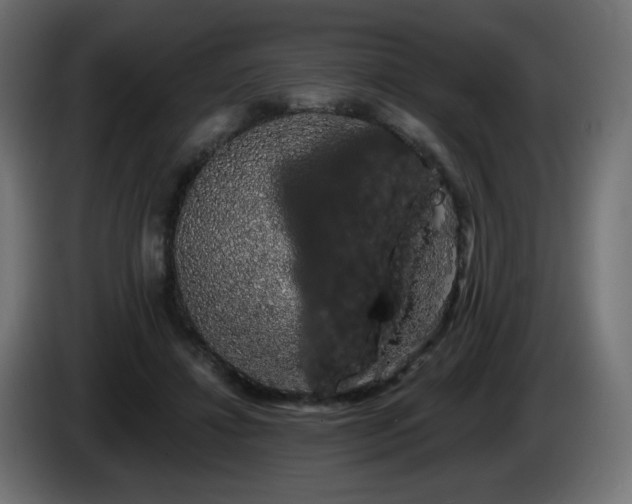 X0000085060452200703051442