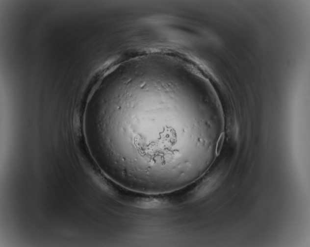 X0000085060453200703051442