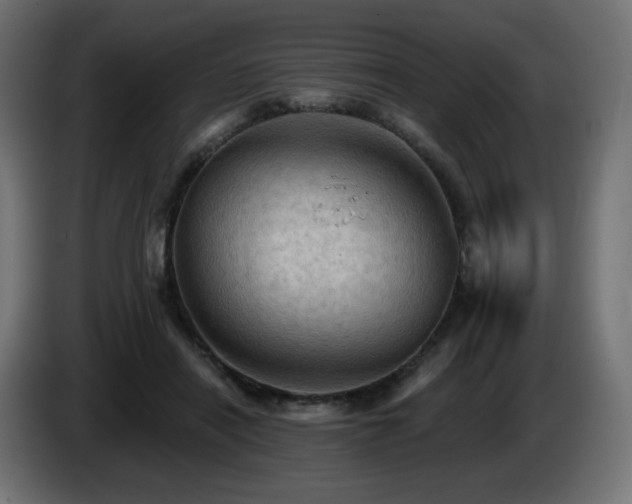 X0000085060454200703051442