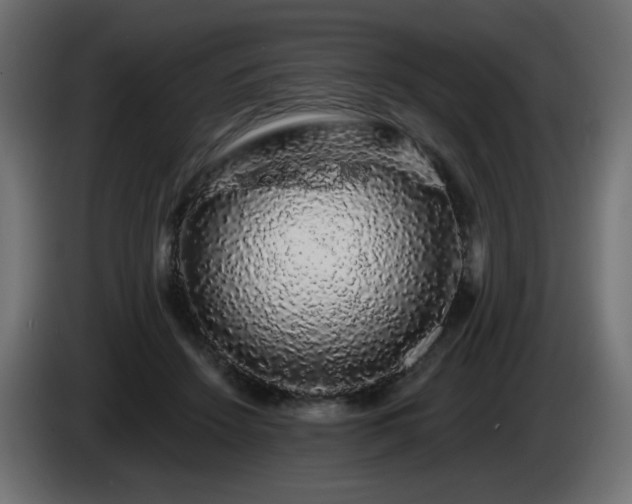 X0000085060456200703051442