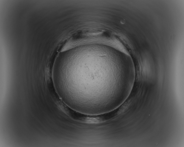 X0000085060457200703051442