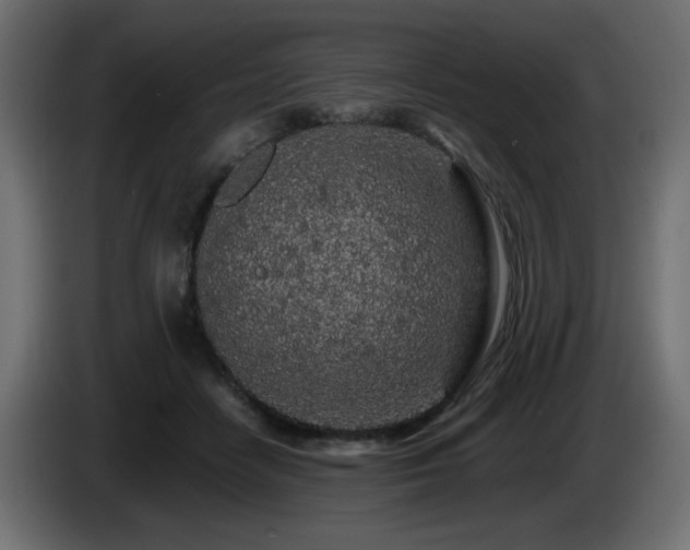 X0000085060458200703051443