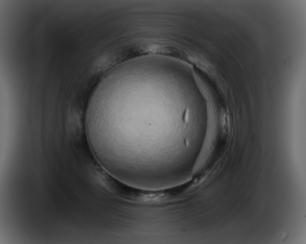 X0000085060461200703051443