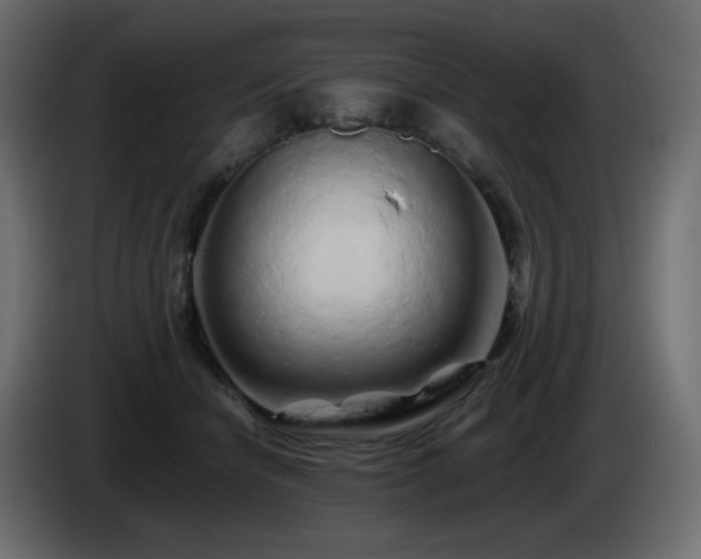 X0000085060462200703051443
