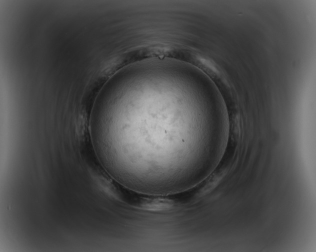 X0000085060463200703051443