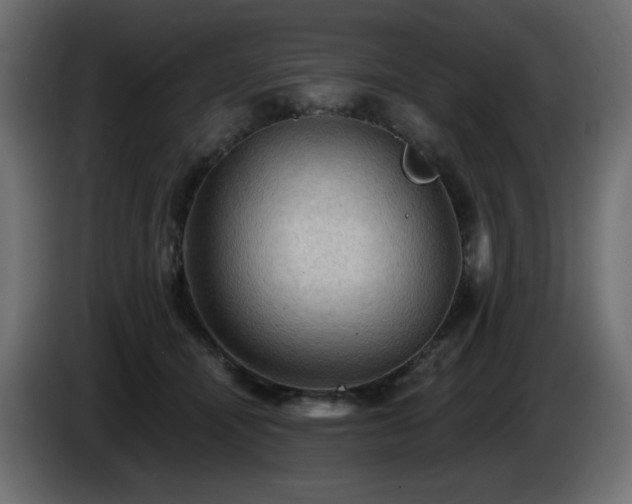 X0000085060464200703051443