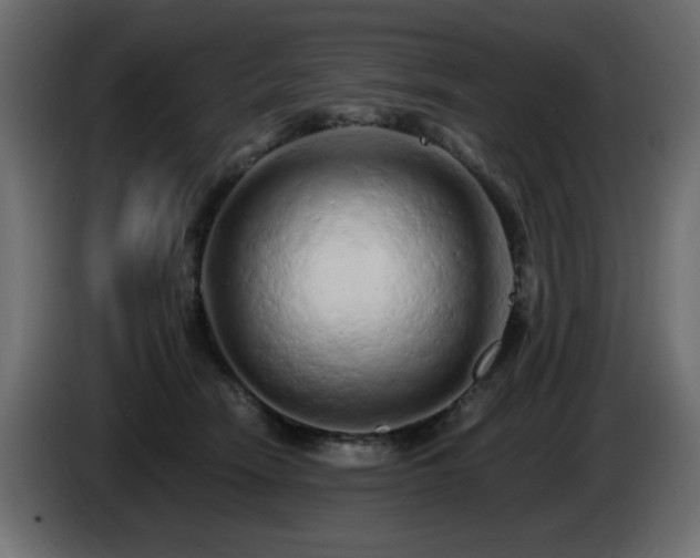 X0000085060466200703051443