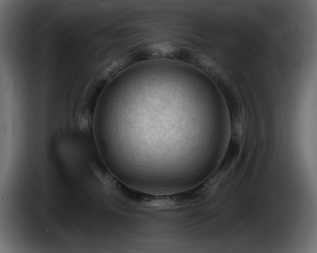 X0000085060468200703051443